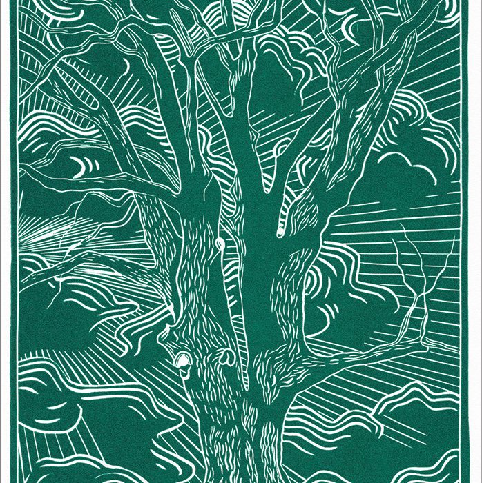 Linogravură Bătrânul Frasin